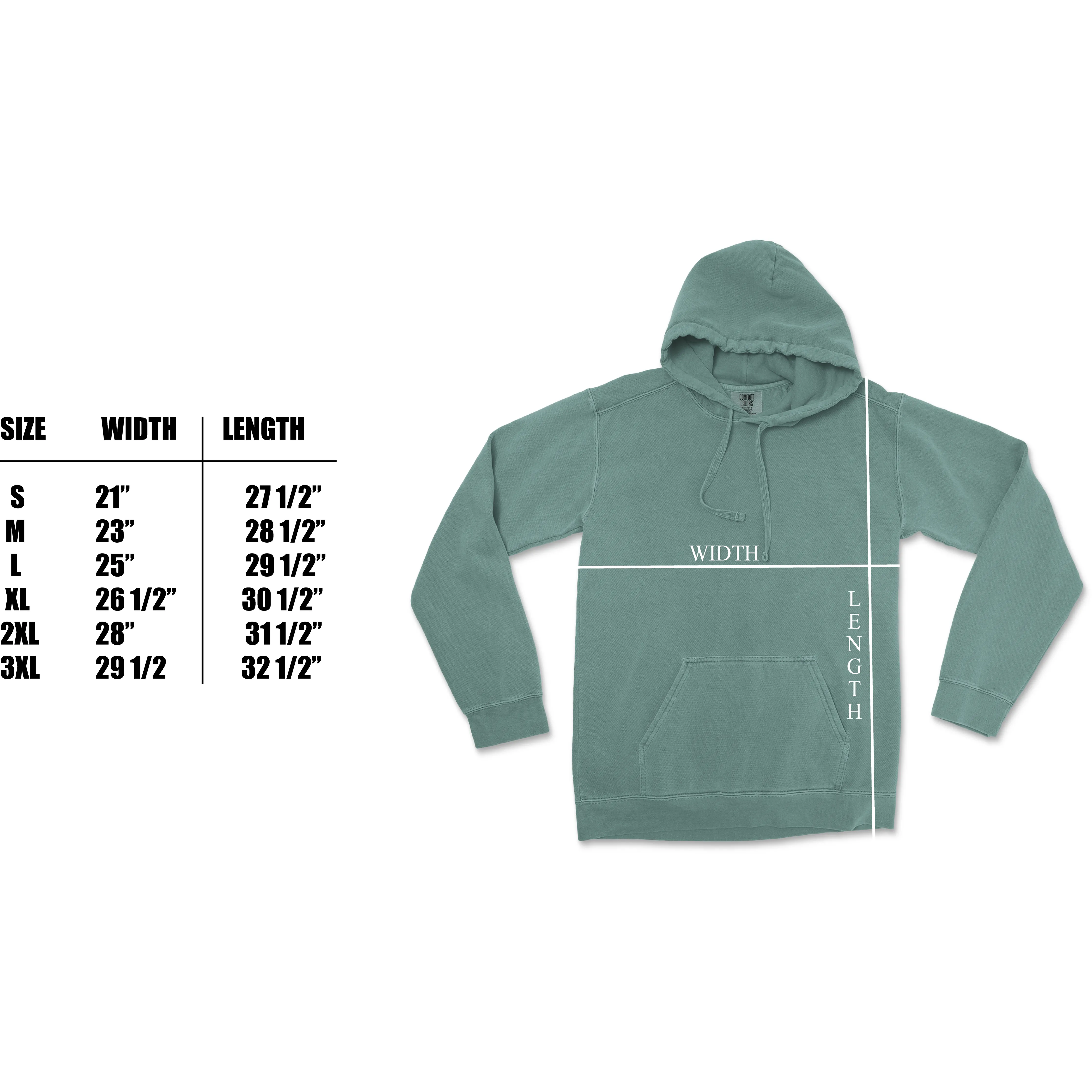 Acadia National Park Comfort Colors Hoodie
