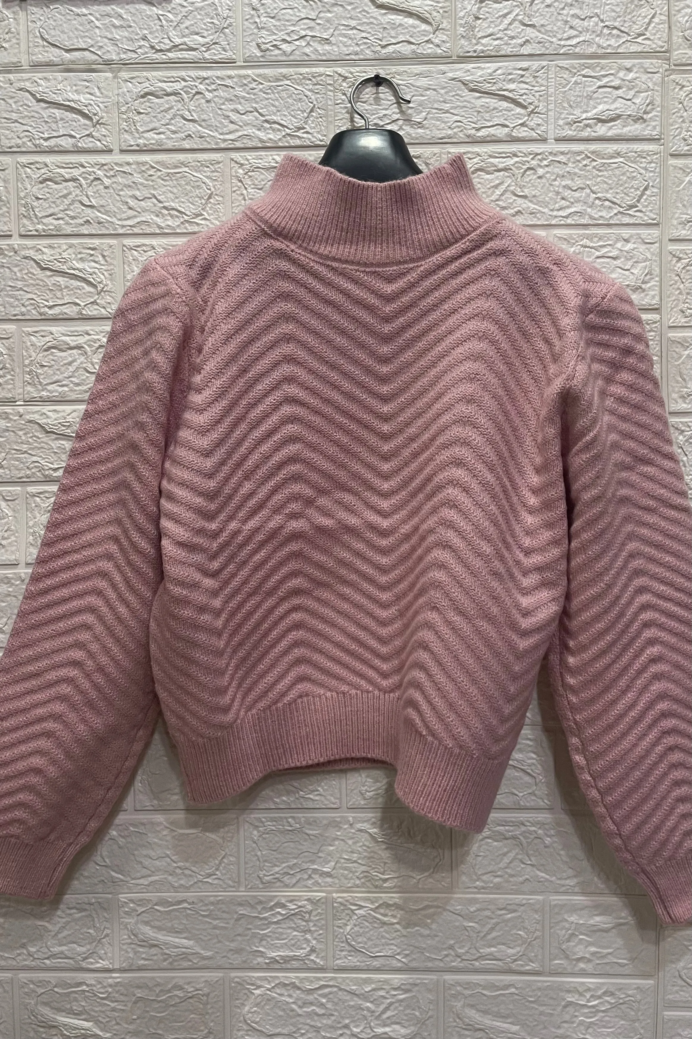 Pinteresty Turtle Neck Regular Full Sleeves Sweater