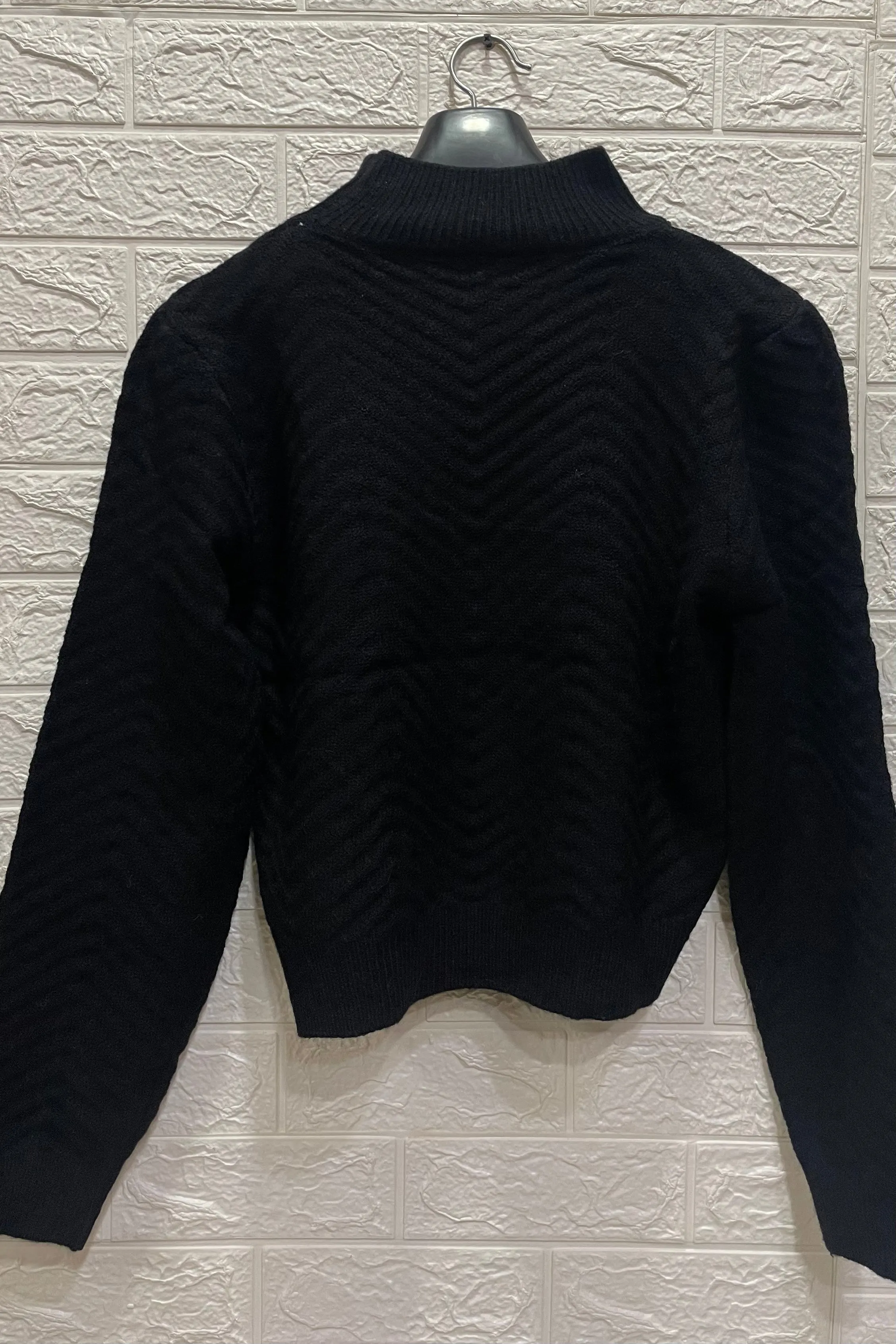 Pinteresty Turtle Neck Regular Full Sleeves Sweater
