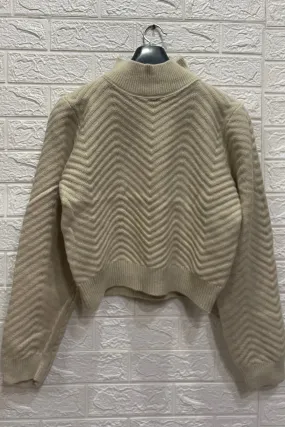 Pinteresty Turtle Neck Regular Full Sleeves Sweater