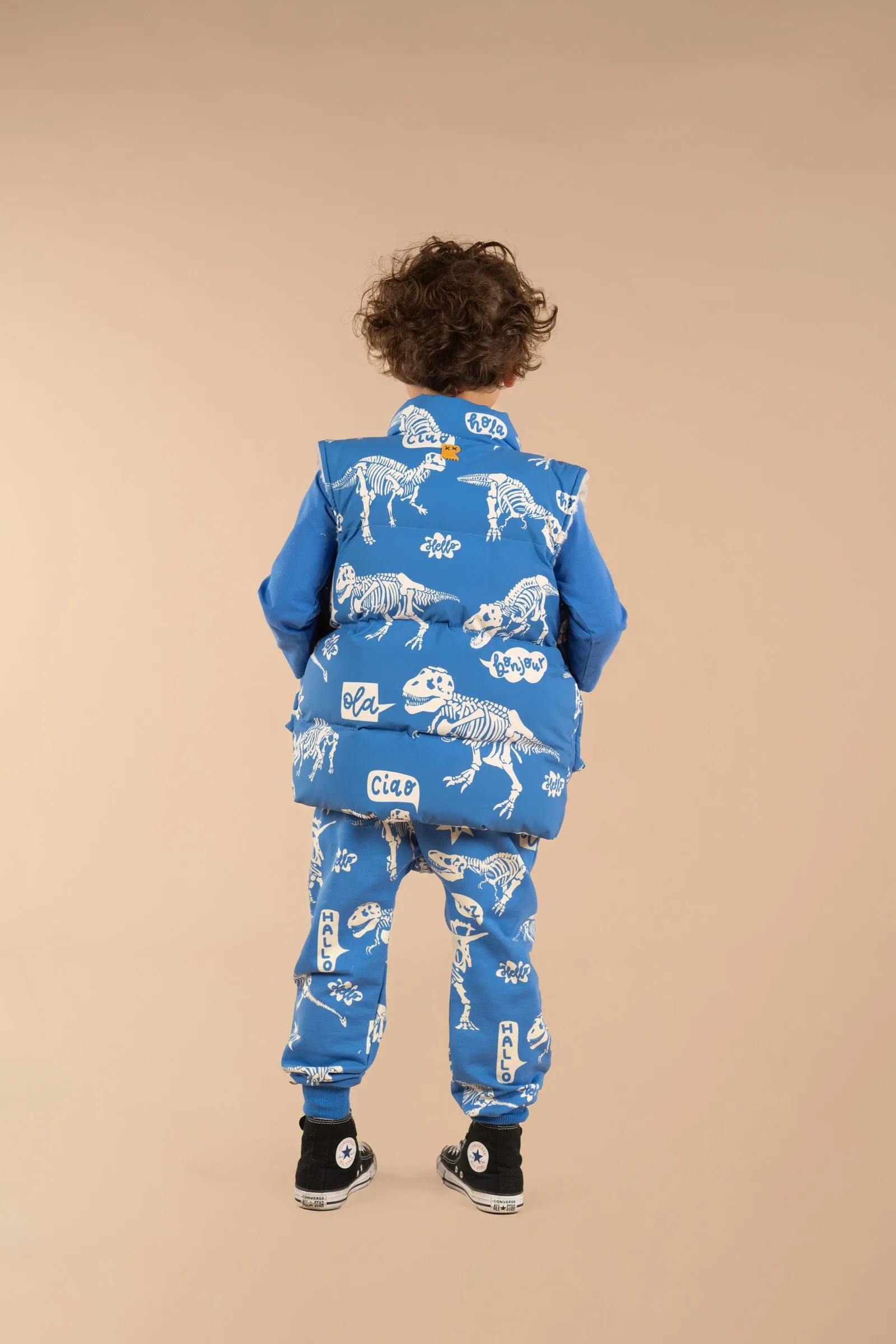Rock Your Baby Hello Dino Sherpa Lined Padded Vest